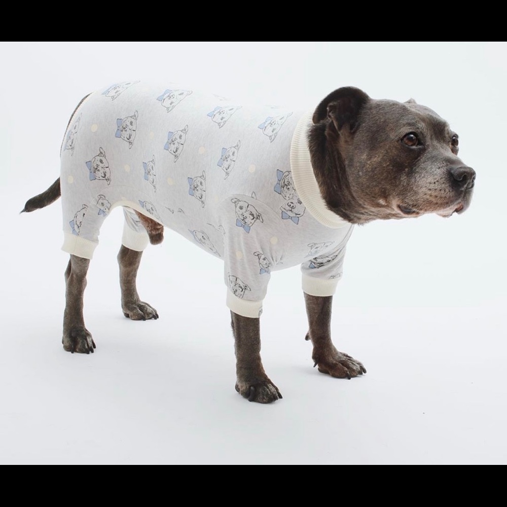 Darren and Philip dog pajamas ❤️